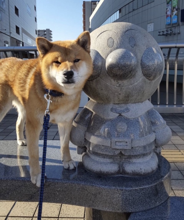 新調しました