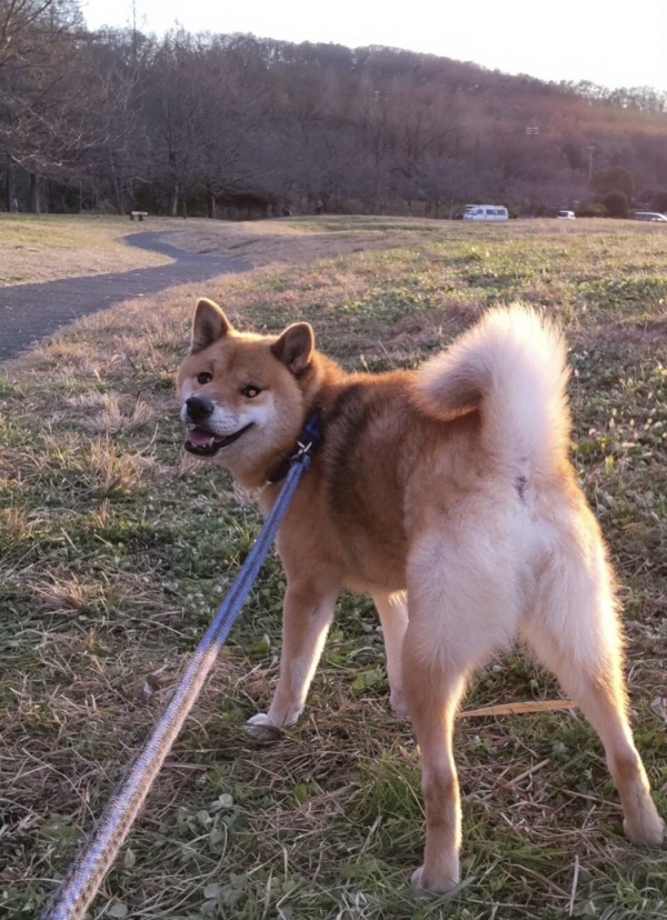 気の赴くままに