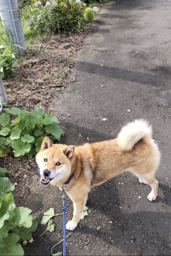 今日の運勢は